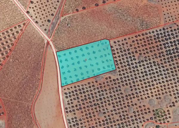 Finca agrícola de 0,8 ha en venta en Valdepenas, Ciudad real