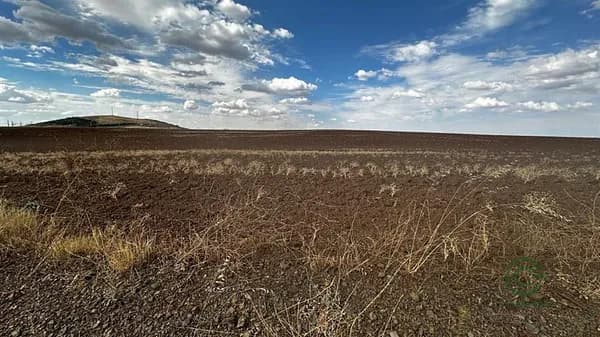 Finca rústica de 0,65 ha en venta en Santa cruz de mudela, Ciudad real