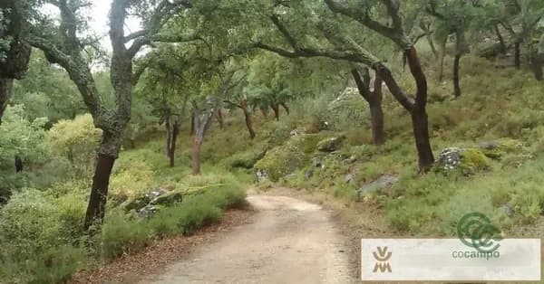 Finca rústica de 168 ha en venta en Ronda, Malaga