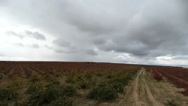 Finca agrícola de 8 ha en venta en Valladolid