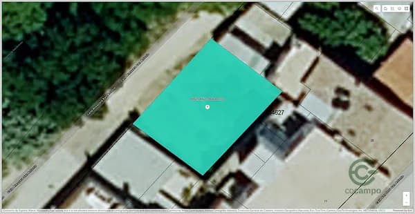 Spot image