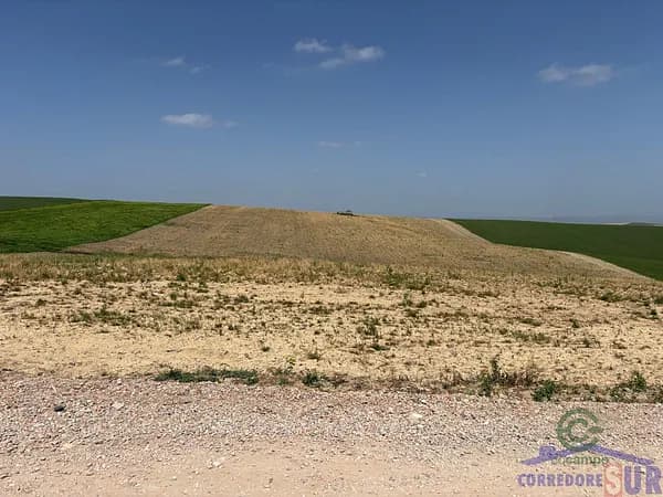 Spot image