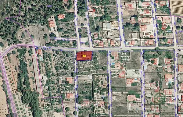 Spot image