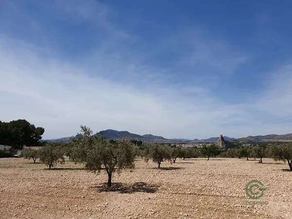 Finca agrícola de 2,1 ha en venta en Sax, Alicante