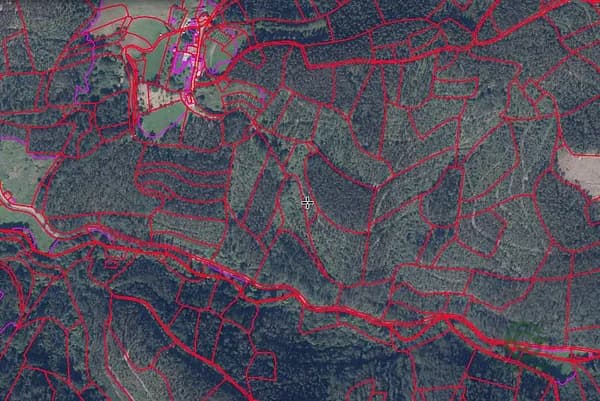 Spot image