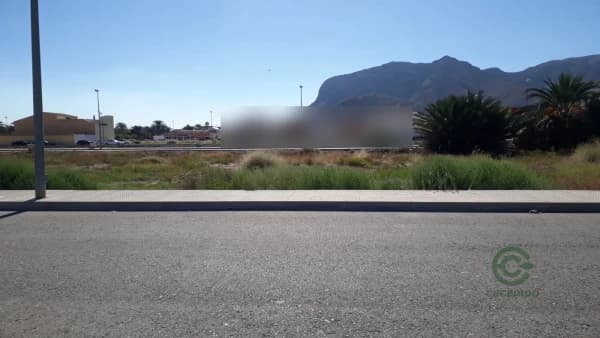 Spot image