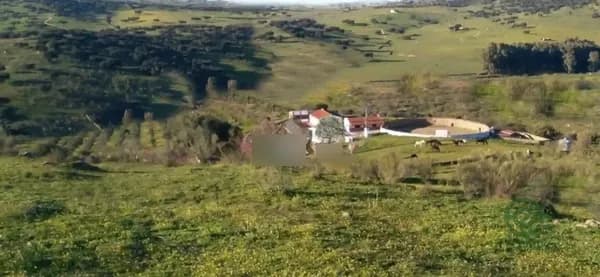 Finca rústica de 19 ha en venta en Badajoz