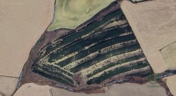 Finca rústica de 18,8 ha en venta en Valladolid