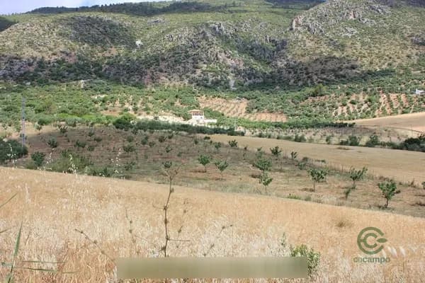Finca agrícola de 1,288 ha en venta en Algodonales, Cadiz