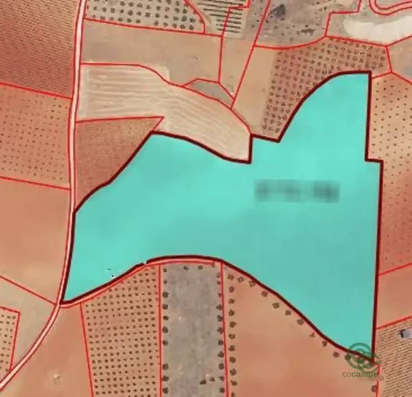 Finca agrícola de 5,72 ha en venta en Valdepenas, Ciudad real