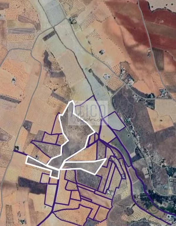 Spot image