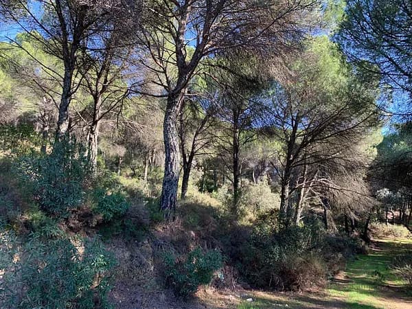 Finca rústica de 1,102 ha en venta en Córdoba, Cordoba