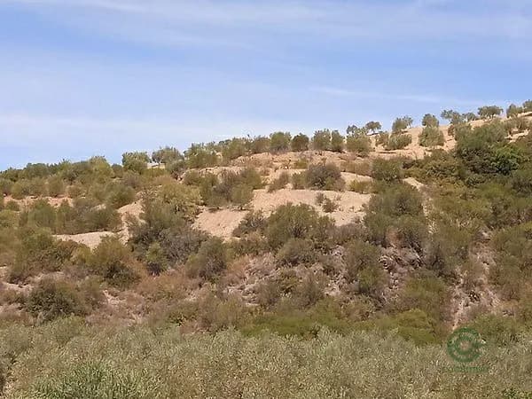 Finca agrícola de 18,6199 ha en venta en Moron de la frontera, Sevilla