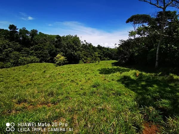 Finca rústica de 50 ha en venta en Bogotá, distrito capital