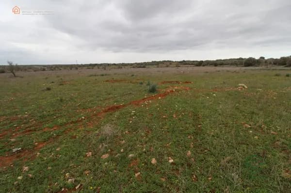Terreno urbano de 0,7141 ha en venta en Ses salines, Baleares