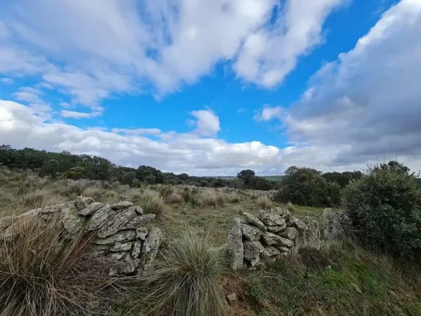 Finca rústica de 26 ha en venta en Zamora