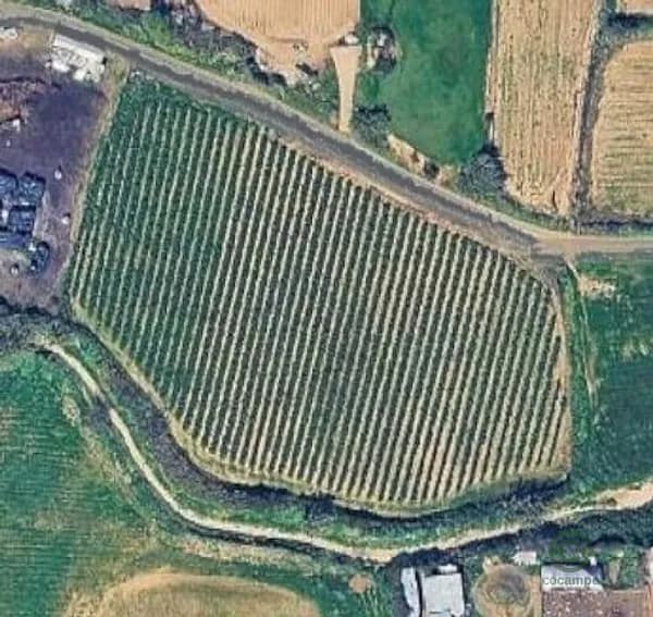 Spot image