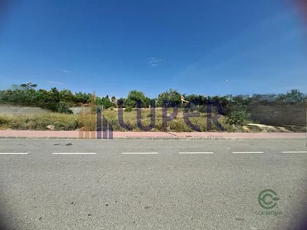Spot image