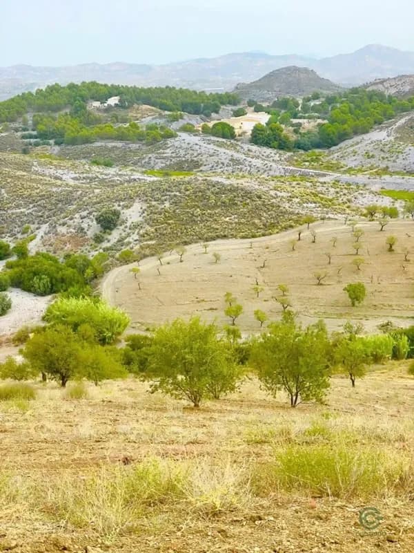 Finca agrícola de 17,5 ha en venta en Puerto lumbreras, Murcia