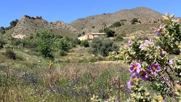 Rustic property of 474 ha for sale in Murcia