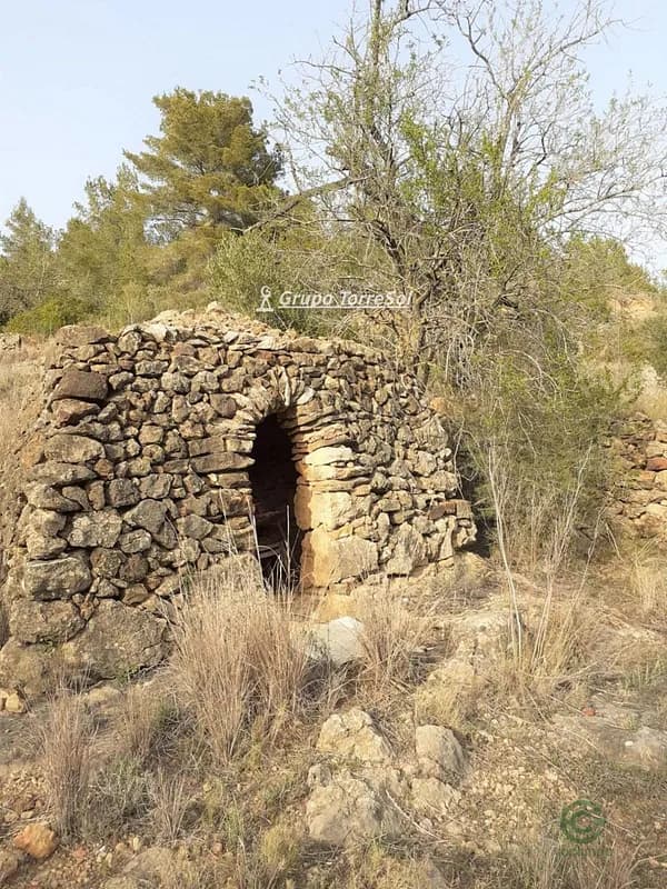 Spot image