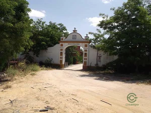Finca rústica de 1,0005 ha en venta en Marchena, Sevilla