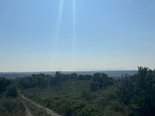 Finca agrícola de 0,9904 ha en venta en Rabos, Girona