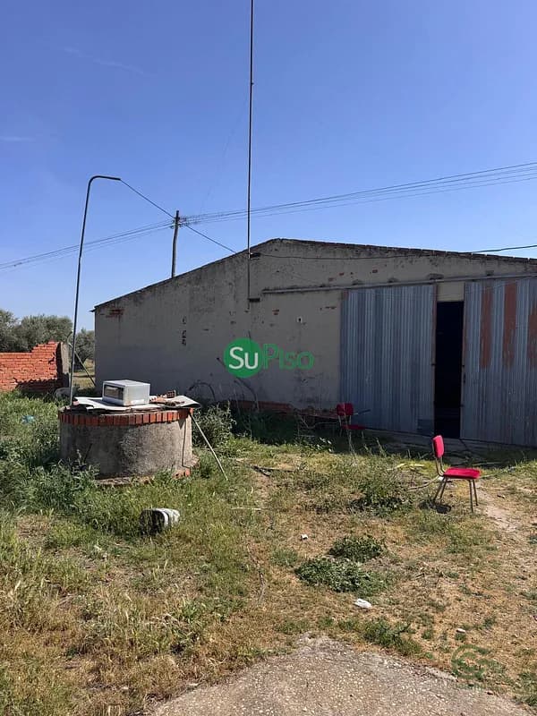 Spot image