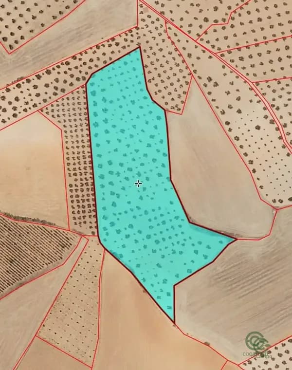 Finca agrícola de 3,09 ha en venta en Santa cruz de mudela, Ciudad real