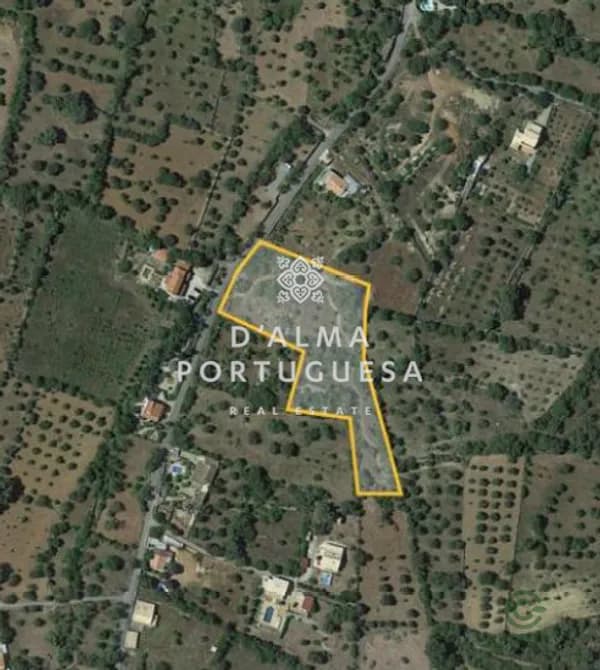 Spot image