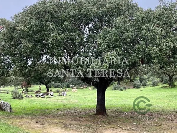 Finca rústica de 988 ha en venta en Cáceres