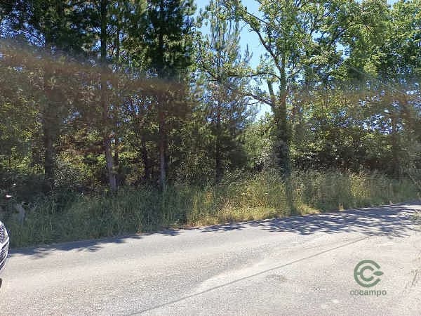 Casa de 0,4646 ha en venta en Outeiro de rei, Lugo