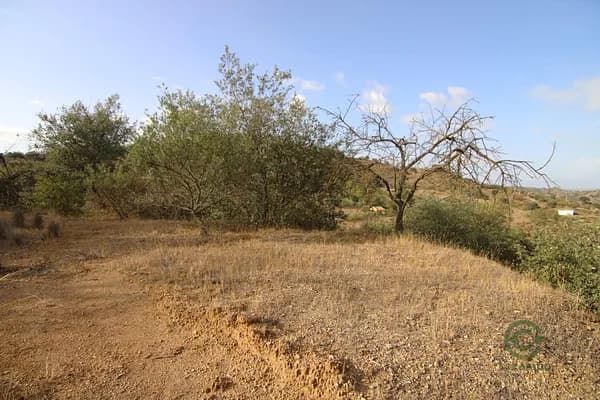 Finca rústica de 0,6062 ha en venta en Coín, Malaga