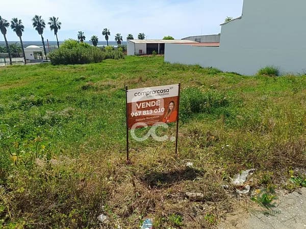 Spot image