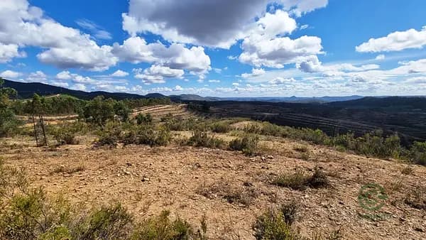 Finca rústica de 118 ha en venta en Huelva