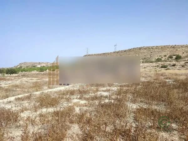 Terreno urbano de 1,2954 ha en venta en Elche, Alicante