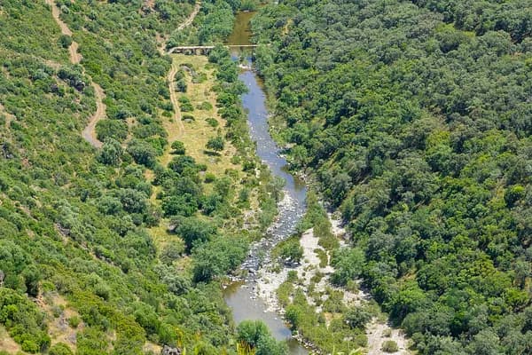 Rustic property of 690 ha for sale in Jaen