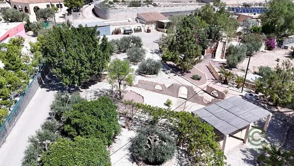 Spot image