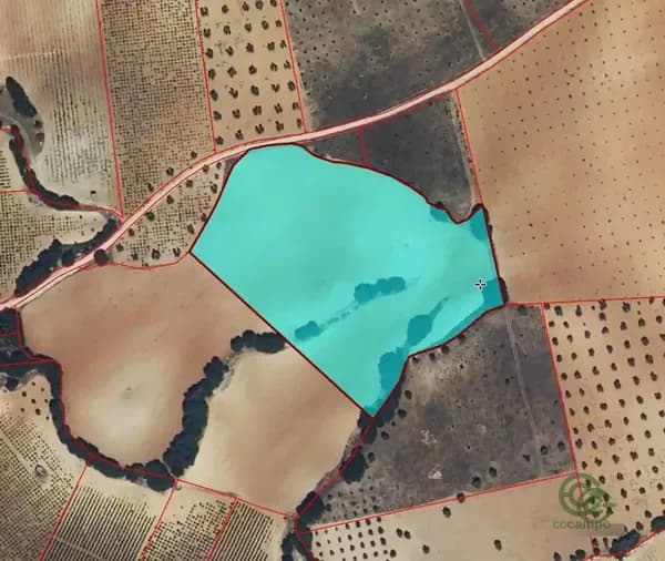 Finca agrícola de 2,24 ha en venta en Valdepenas, Ciudad real