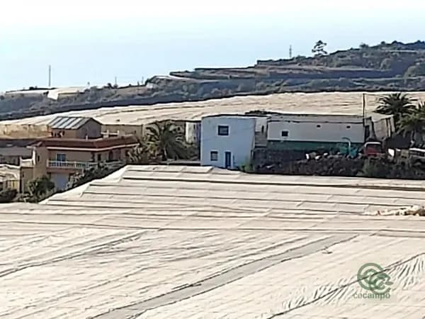 Agricultural property of 4,7 ha for sale in Tenerife