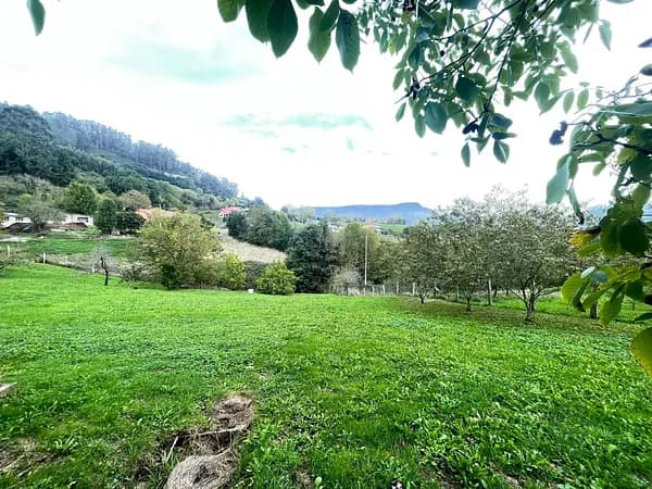 Finca rústica de 0,2489 ha en venta en Siero, Asturias