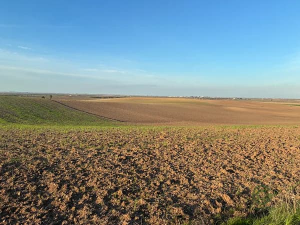 Finca agrícola de 5 ha en venta en Sevilla