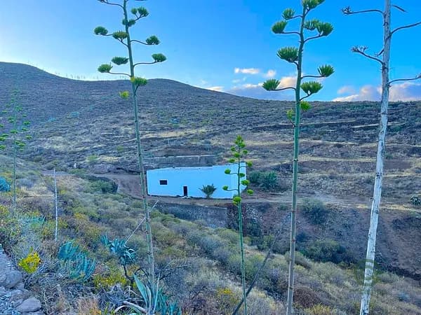 Finca rústica de 5,37 ha en venta en Las palmas