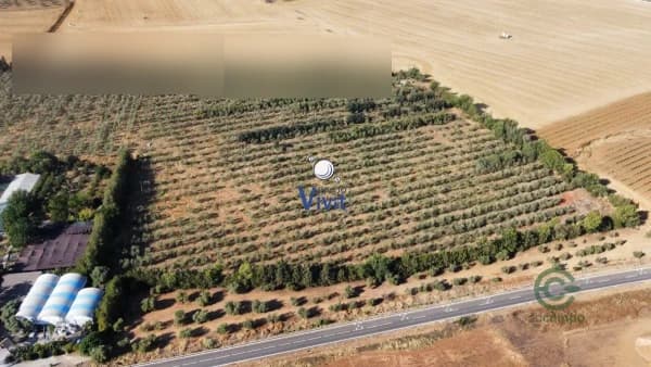 Finca rústica de 4,3188 ha en venta en Alcala de guadaira, Sevilla