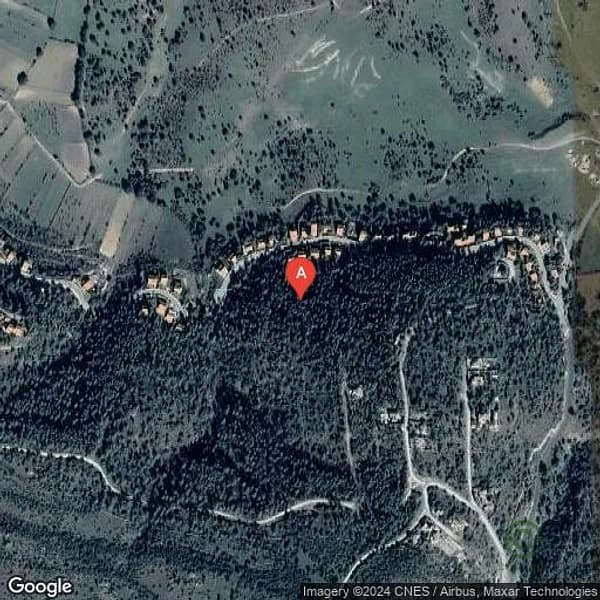 Spot image
