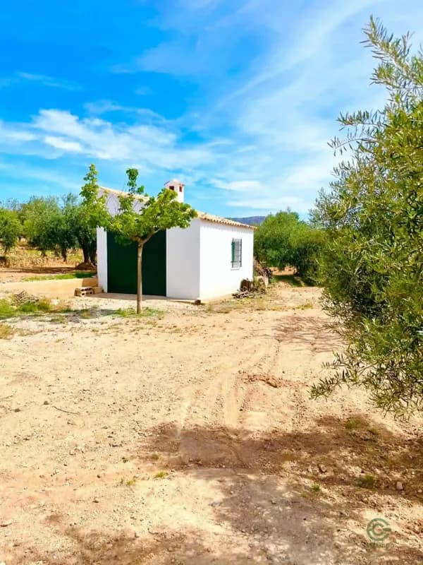 Finca agrícola de 0,5 ha en venta en Velez-rubio, Almeria