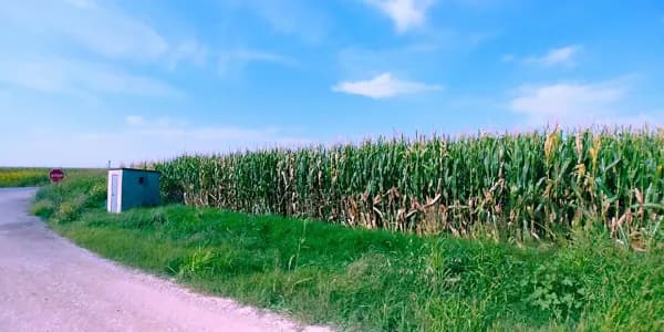 Finca agrícola de 17 ha en venta en Huesca