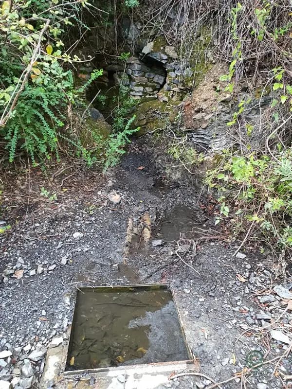 Finca rústica de 34 ha en venta en Málaga