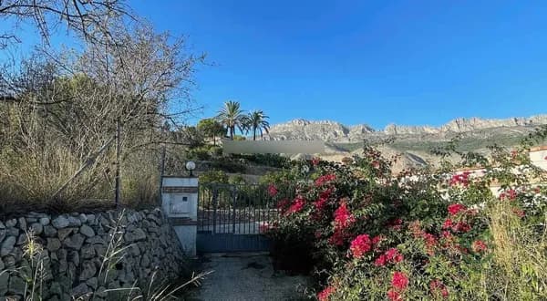 Rustic property of 1 ha for sale in Alicante
