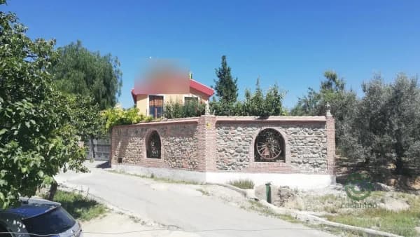 Spot image